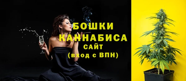 метадон Осташков