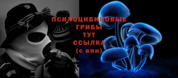метадон Осташков