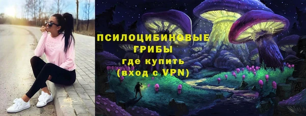метадон Осташков