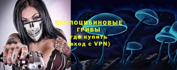метадон Осташков