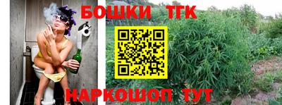 соль ск Дубна
