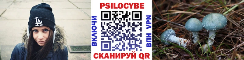 цена   кракен как зайти  Псилоцибиновые грибы ЛСД  Североуральск 