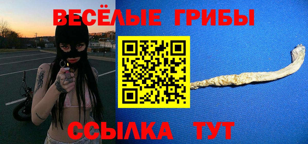 наркошоп  Псилоцибиновые грибы прущие грибы  Псилоцибиновые грибы мицелий  Вход с VPN  Североуральск 